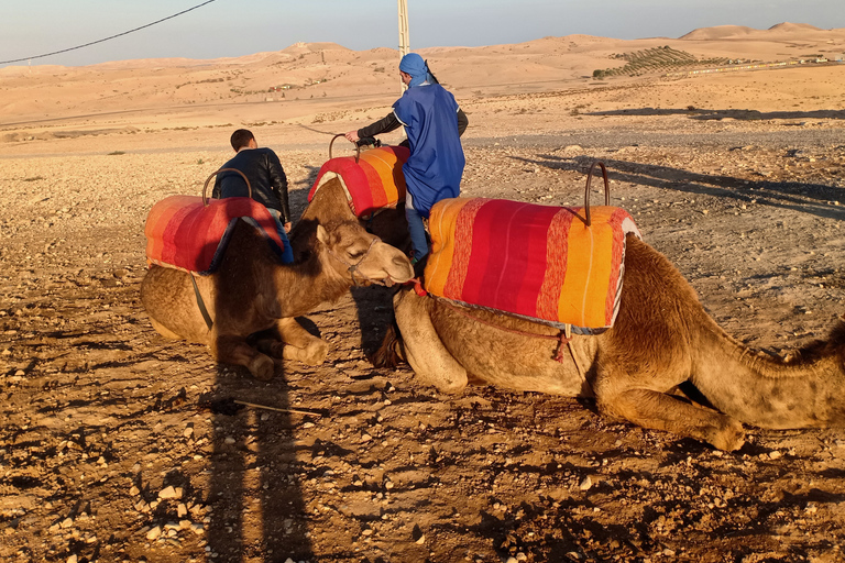 Camel Ride In Agafay Desert