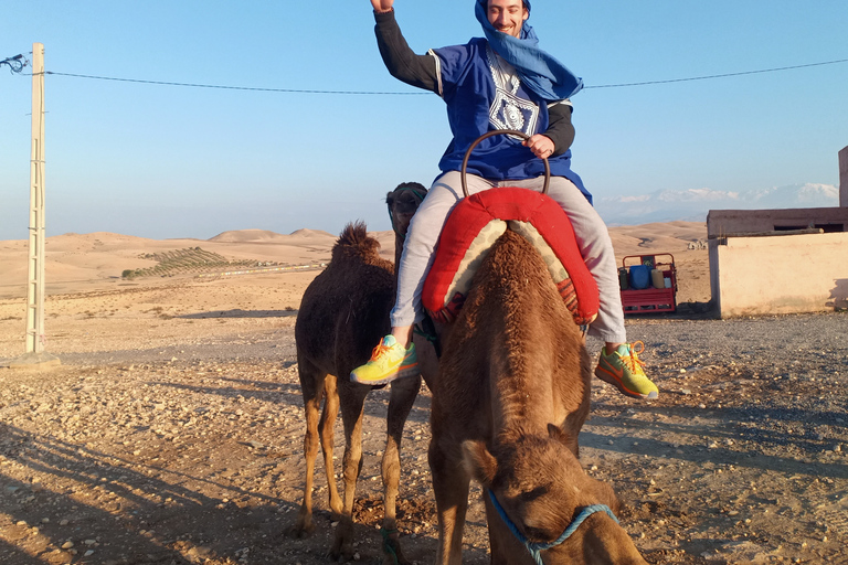 Camel Ride In Agafay Desert