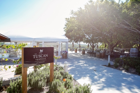 Winery Tour & Tasting with 3-Course Lunch on Tuscan Terrace