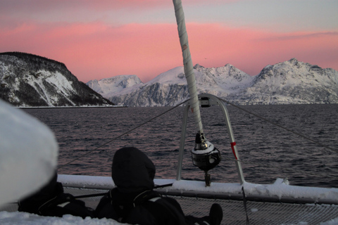 Tromsø: cruzeiro turístico no fiorde ártico em catamarã de luxoTromsø: Cruzeiro turístico pelo Fiorde Ártico em um catamarã de luxo