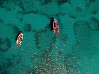 Zadar: Speedboat Tour with Snorkeling & Fruit