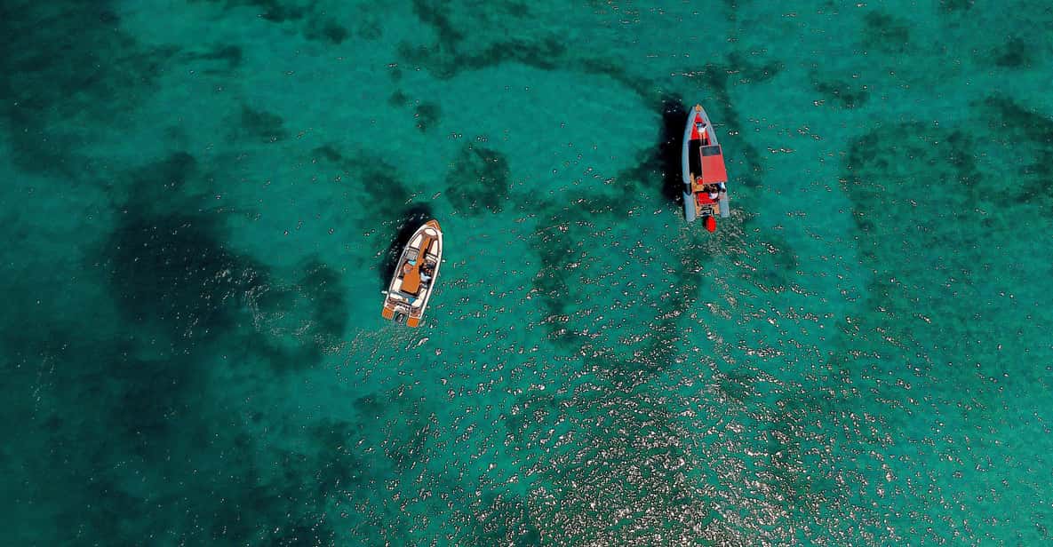 Afbeelding 1 van Zadar: speedboottocht naar eilanden met snorkelen en drankjes