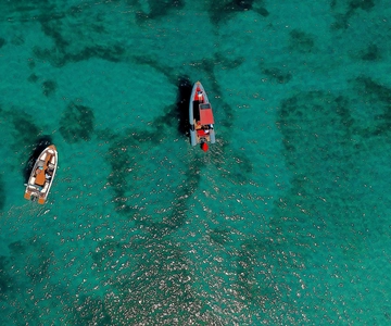 Zadar: Passeio de lancha com snorkeling e frutas