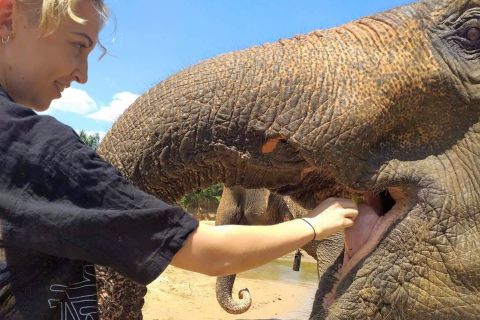 Krabi: Geführte Tour durch das Elefantenpflegeheim mit Hoteltransfers