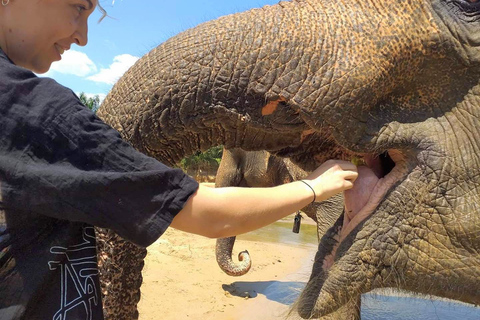 Krabi : Visite guidée de la maison de soins aux éléphants avec transferts à l'hôtel