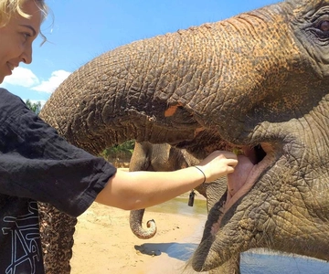 Krabi: Elephant Care House Guided Tour with Hotel Transfers