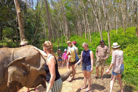 Krabi : Visite guidée de la maison de soins aux éléphants avec transferts à l'hôtel