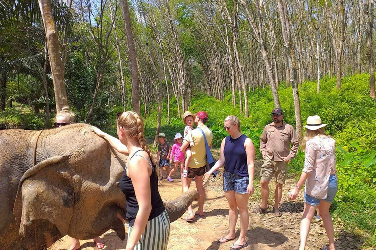 Krabi: Visita guiada a la Casa del Cuidado de Elefantes con traslados al hotel