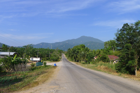 Krabi: visita guiada ao Elephant Care House com traslados de hotel