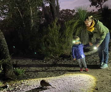 Busselton: Nocturnal Animal Tour