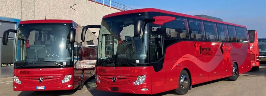 Depuis l'aéroport de Fiumicino : Transfert en bus aller simple vers Paganico