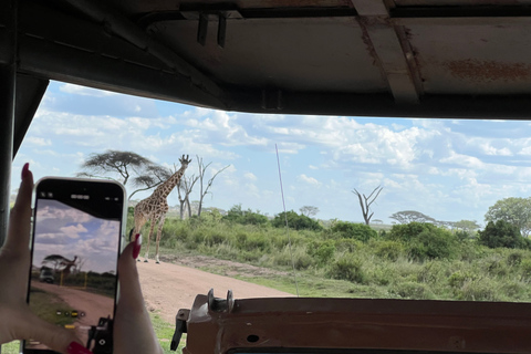 From Zanzibar: Nyerere National Park Game Drive with Lunch