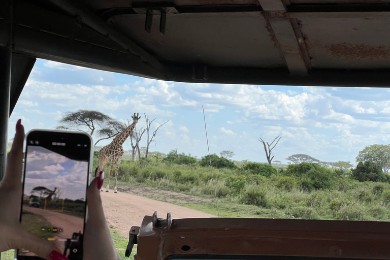 De Zanzibar: Safári no Parque Nacional Nyerere com almoço