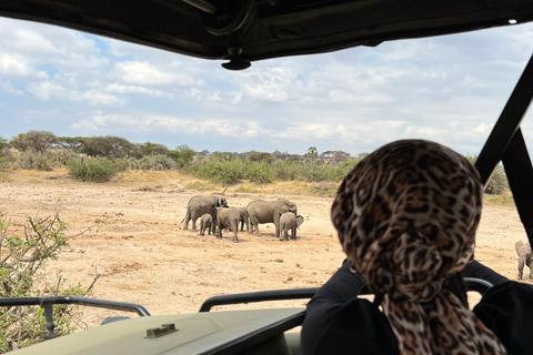 De Zanzibar: Safári no Parque Nacional Nyerere com almoço