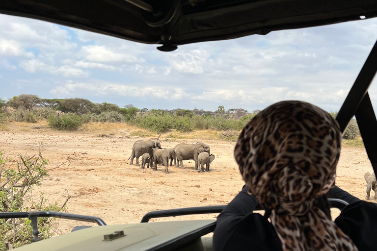 From Zanzibar: Nyerere National Park Game Drive with Lunch