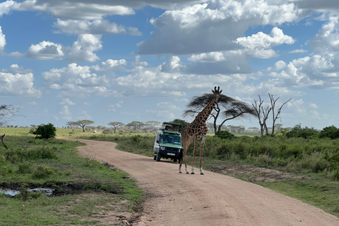 El mejor safari de 1 día de Zanzíbar a Selous G.RSafari de 1 día por Selous desde Zanzíbar