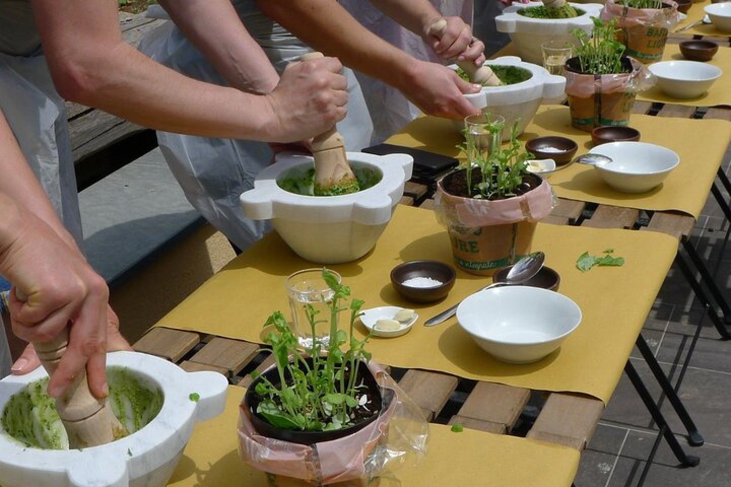 Manarola: Authentischer Pesto-Kurs in Cinque Terre