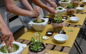 Manarola: Authentic Pesto Making Class in Cinque Terre