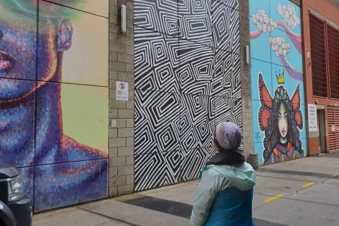 Adelaide: James Cochran Street Art-tourJimmy C Adelaide Street Art-tour