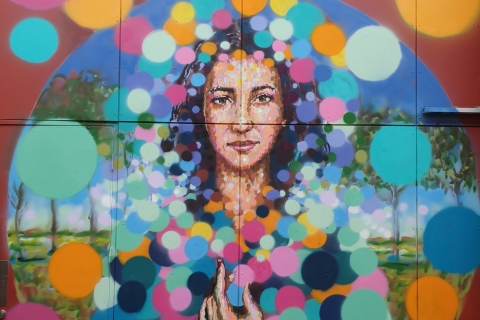 Adelaide: James Cochran Street Art-tourJimmy C Adelaide Street Art-tour