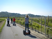 Alba, a guidé le Segway Tour à travers les collines de Langhe et les vignobles - Housity