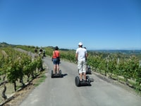 Alba, a guidé le Segway Tour à travers les collines de Langhe et les vignobles - Housity