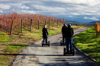 Alba, a guidé le Segway Tour à travers les collines de Langhe et les vignobles - Housity