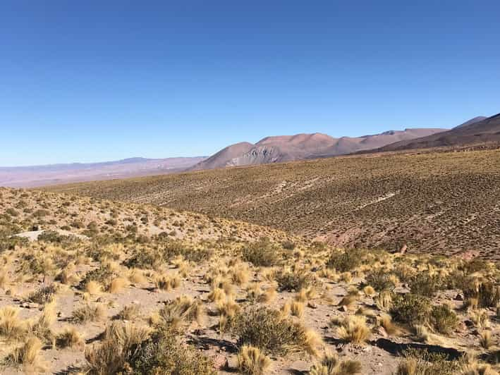 San Pedro de Atacama Excursion d une journée dans le désert d Atacama