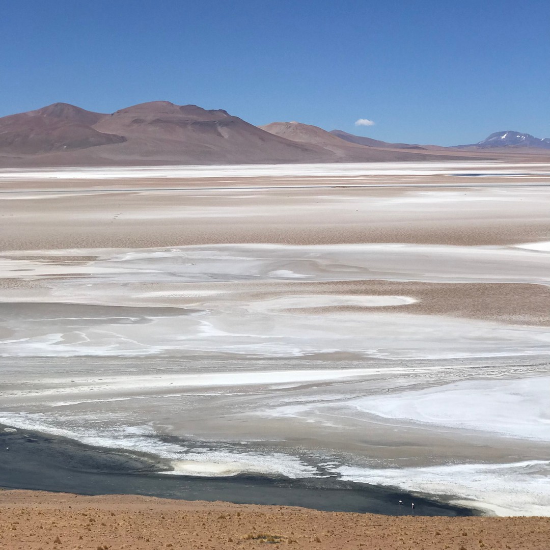 Galería de fotos para redes