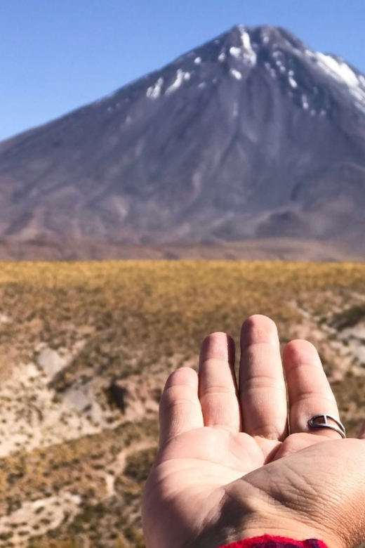 Galería de fotos para redes
