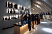 Bordeaux, Cité du Vin Direct Ticket and Wine Tasting - Housity