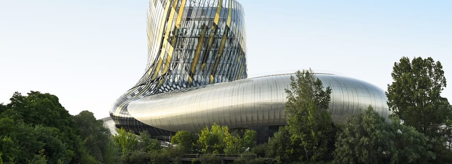 Bordeaux: Biglietto d'ingresso alla Cité du Vin e degustazione di vini