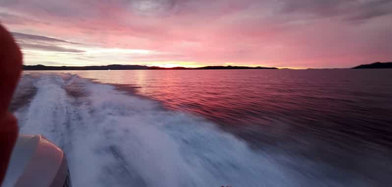 Zadar Excursión en lancha rápida a Ugljan Osljak y Galevac GetYourGuide