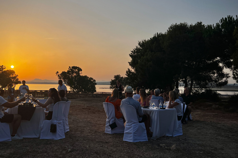 Wine Tour through the vineyards with tasting by Salt Lake