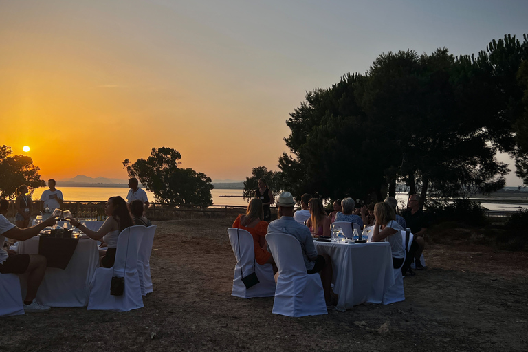 Wine Tour through the vineyards with tasting by Salt Lake