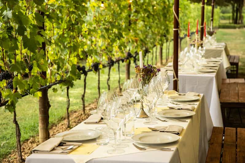 San Gimignano Canopy Vineyard Dinner And Wine Tasting Tour Getyourguide