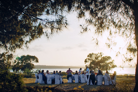 Wine Tour through the vineyards with tasting by Salt Lake