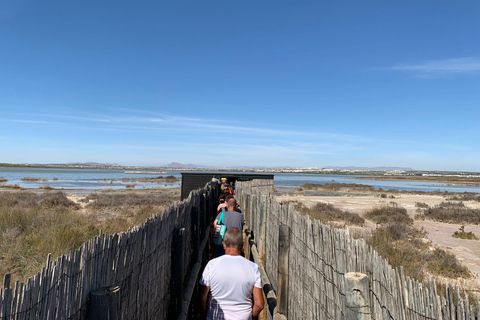 Wine Tour through the vineyards with tasting by Salt Lake