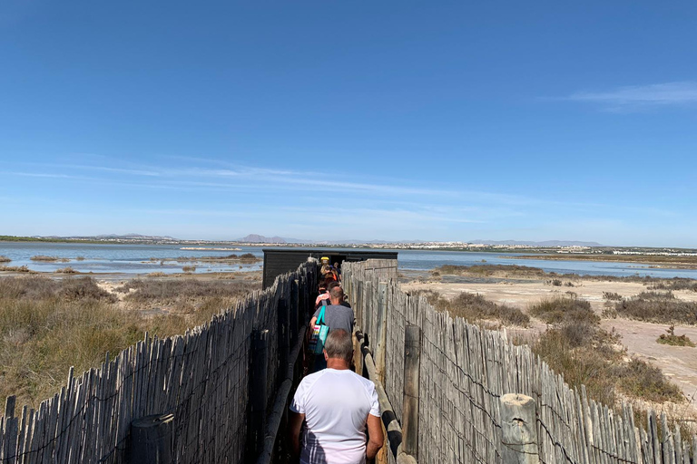 Wine Tour through the vineyards with tasting by Salt Lake