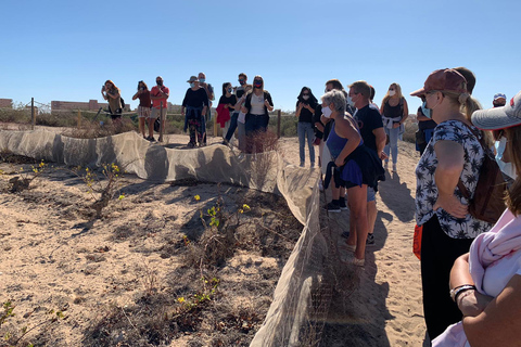 Wine Tour through the vineyards with tasting by Salt Lake