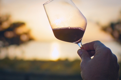 Wine Tour through the vineyards with tasting by Salt Lake