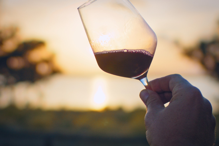 Wine Tour through the vineyards with tasting by Salt Lake