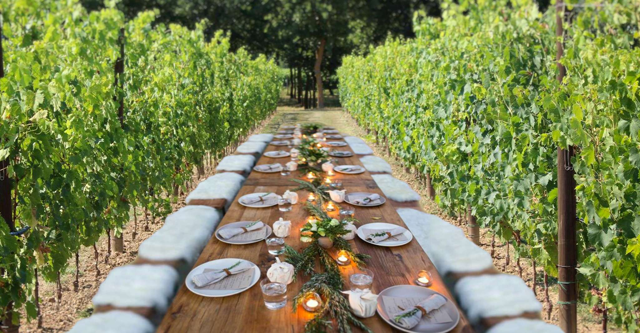San Gimignano, Cena romantica della vigna - Hizvo