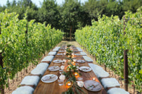 San Gimignano, Cena romantica della vigna - Hizvo