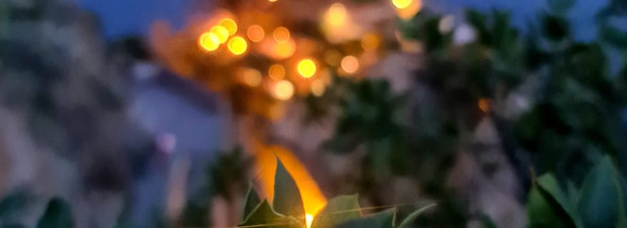 Cinque Terre : visite privative avec un photographe professionnel