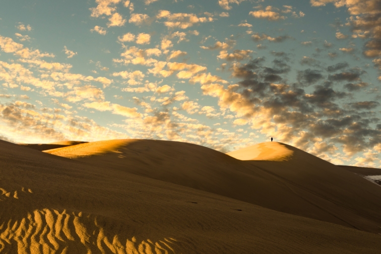 Journée complète de safari dans le désert, promenade à dos de chameau, descente de dunes, mer intérieure.