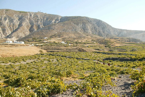 Santorini: Guided Highlights Tour with Private Wine TastingGuided Tour in English - 6h