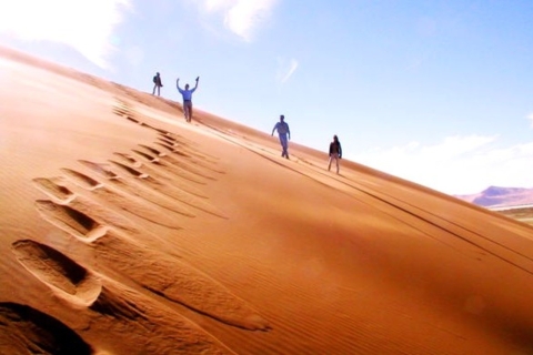 Journée complète de safari dans le désert, promenade à dos de chameau, descente de dunes, mer intérieure.