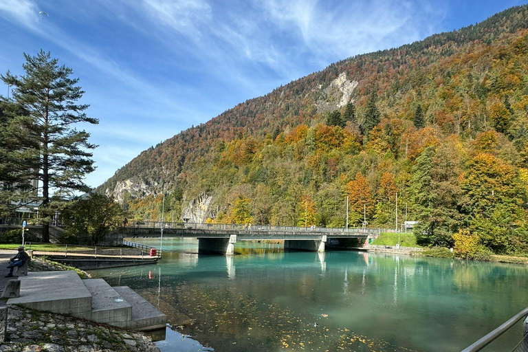 Genève: privé-dagtrip naar Montreux, Lausanne en Gruyères