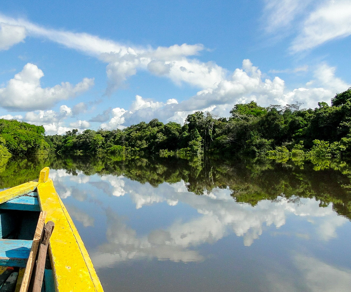 Iquitos: 4-Day Amazon Jungle Trip